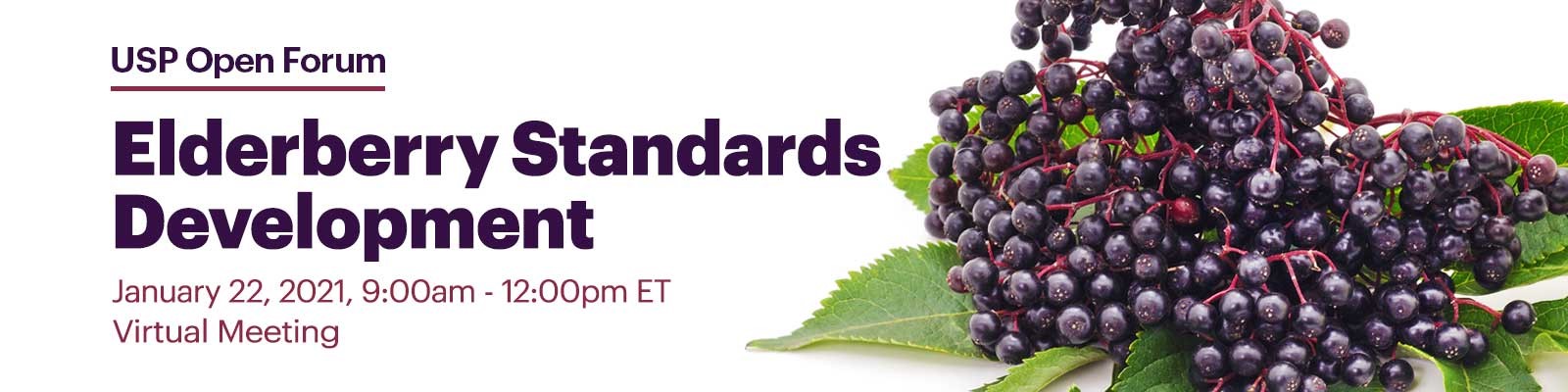 elderberry standards development